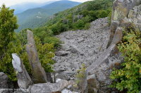 中央阿巴拉契亞鎂鐵質非血管懸崖 / 巨石場 – CEGL 004143 中央阿巴拉契亞鎂鐵質非血管懸崖 / 巨石場 – CEGL 004143