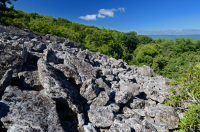 中阿巴拉契亞州高海酸性非血管博爾德菲爾德 — CEGL 004389 中阿巴拉契亞州高海酸性非血管博爾德菲爾德 — CEGL 004389