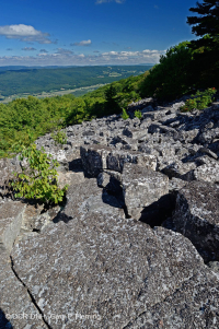 中阿巴拉契亞州高海酸性非血管博爾德菲爾德 — CEGL 004389 中阿巴拉契亞州高海酸性非血管博爾德菲爾德 — CEGL 004389