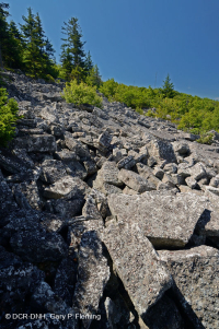 中阿巴拉契亞州高海酸性非血管博爾德菲爾德 — CEGL 004389 中阿巴拉契亞州高海酸性非血管博爾德菲爾德 — CEGL 004389