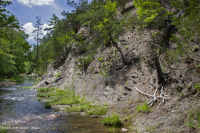 中阿巴拉契亞頁岩荒原(南方型)— CEGL 006562 中阿巴拉契亞頁岩荒原(南方型)— CEGL 006562