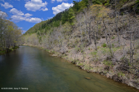 中阿巴拉契亞頁岩荒原(南方型)— CEGL 006562 中阿巴拉契亞頁岩荒原(南方型)— CEGL 006562