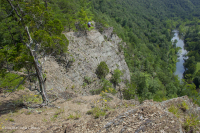 中阿巴拉契亞頁岩荒原(南方型)— CEGL 006562 中阿巴拉契亞頁岩荒原(南方型)— CEGL 006562