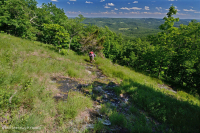 南藍嶺低海拔馬菲克荒原 — CEGL 006215 南藍嶺低海拔馬菲克荒原 — CEGL 006215