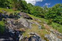 南藍嶺低海拔馬菲克荒原 — CEGL 006215 南藍嶺低海拔馬菲克荒原 — CEGL 006215