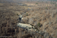 皮埃蒙特花崗岩平岩 — CEGL 003857 皮埃蒙特花崗岩平岩 — CEGL 003857