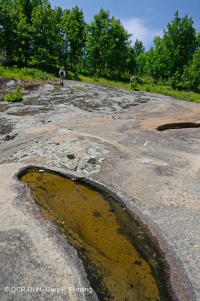 皮埃蒙特花崗岩平岩 — CEGL 003857 皮埃蒙特花崗岩平岩 — CEGL 003857