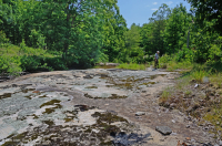 皮埃蒙特花崗岩平岩 — CEGL 003857 皮埃蒙特花崗岩平岩 — CEGL 003857