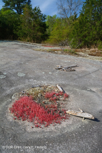 皮埃蒙特花崗岩平岩 — CEGL 003857 皮埃蒙特花崗岩平岩 — CEGL 003857