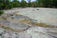 皮埃蒙特花崗岩平岩 — CEGL 003857 皮埃蒙特花崗岩平岩 — CEGL 003857