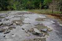 皮埃蒙特花崗岩平岩 — CEGL 003857 皮埃蒙特花崗岩平岩 — CEGL 003857