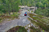 皮埃蒙特花崗岩平岩-CEGL 003857 皮埃蒙特花崗岩平岩-CEGL 003857