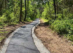 雪南多亞的步道