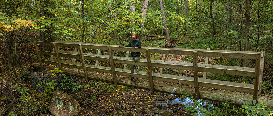 甜潤州立公園的步道