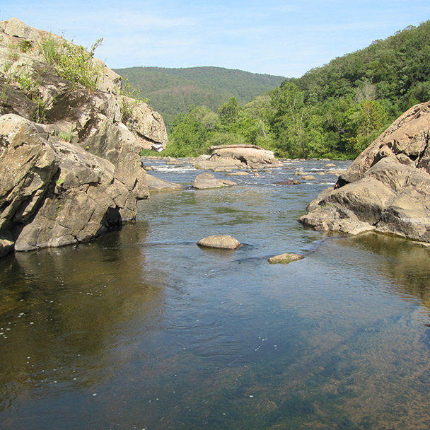 週年紀念工具包