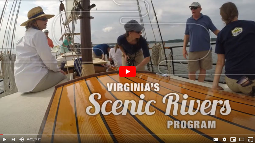 YouTube 節目概述視頻