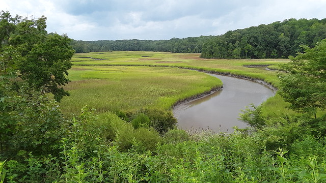 約克河州立公園