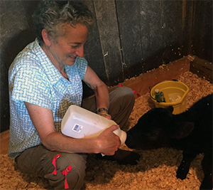 卡拉·埃文斯,克里克山農場