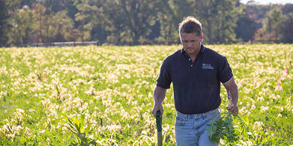 DCR 員工在一個領域