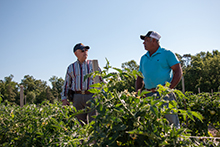 羅薩斯農場-營養管理規劃