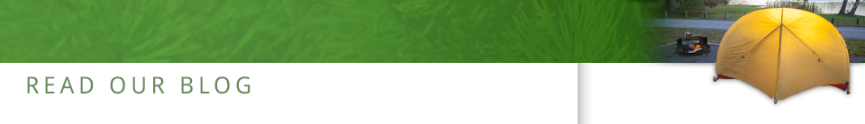 Read Our Blogs Read Our Blogs