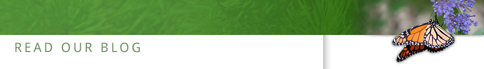 Read Our Blogs Read Our Blogs