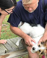 檢查您的寵物是否有蚊蟲