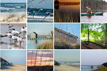 假開普州立公園的閃爍照片