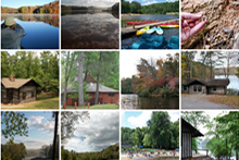 仙石州立公園的閃爍照片