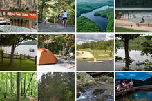 霍利迪湖州立公園的閃爍照片