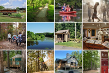 波卡洪塔斯州立公園的閃爍照片