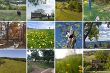 天空草地州立公園的閃爍照片