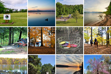 斯湯頓河州立公園的閃爍照片