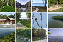 威德沃特州立公園的閃爍照片