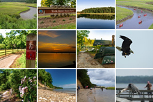 約克河州立公園的閃爍照片