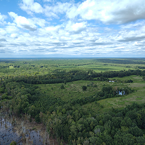 福克蘭州保護區