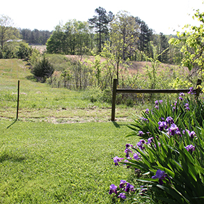 福克蘭州自然保護區