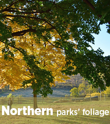 北方公園的紅葉報告