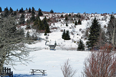 格雷森高原州立公園