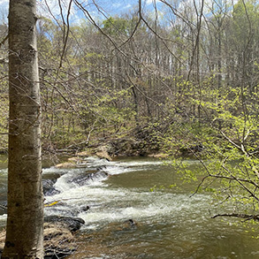 未來梅奧河州立公園