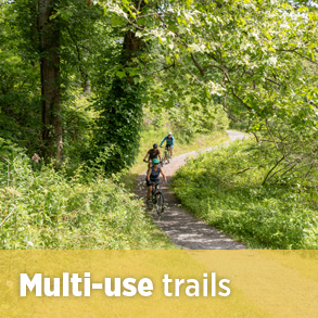 用於多用途騎自行車的超級按鈕