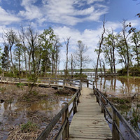 在梅森尼克州立公園徒步旅行