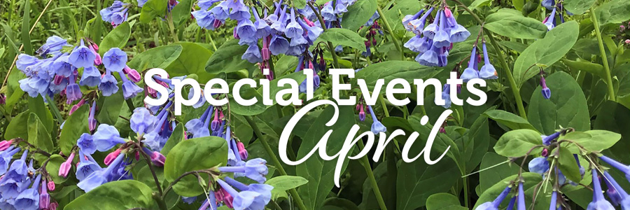 4 月舉行的活動