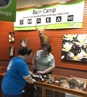 大本營環境自然中心