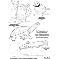 自然遺產著色紙