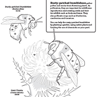 生鏽的大黃蜂著色紙