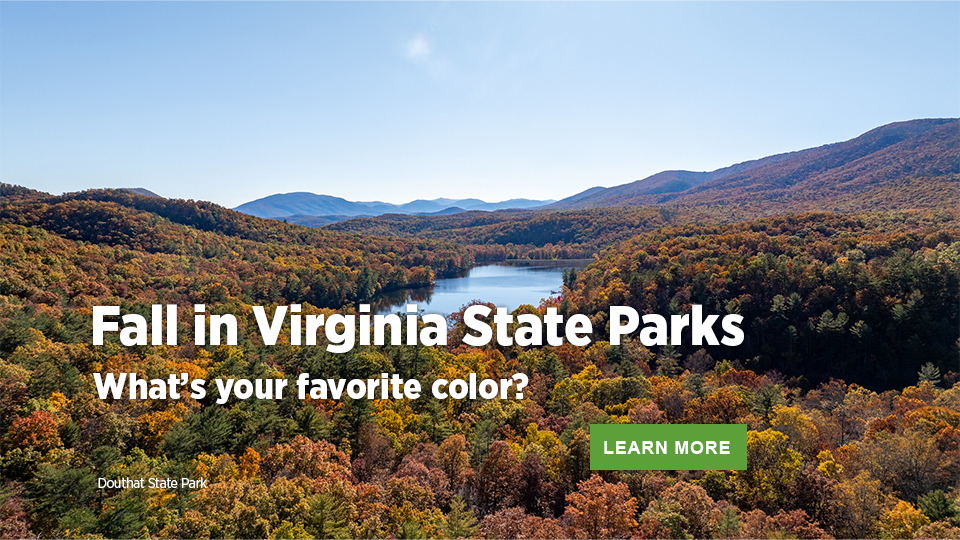 弗吉尼亞州立公園的秋天
