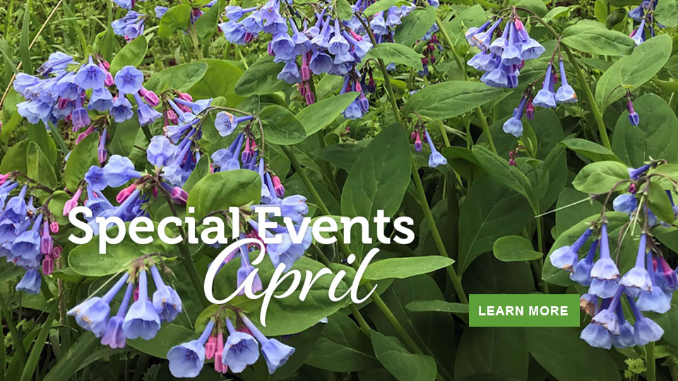 April events in Virginia State Parks April events in Virginia State Parks