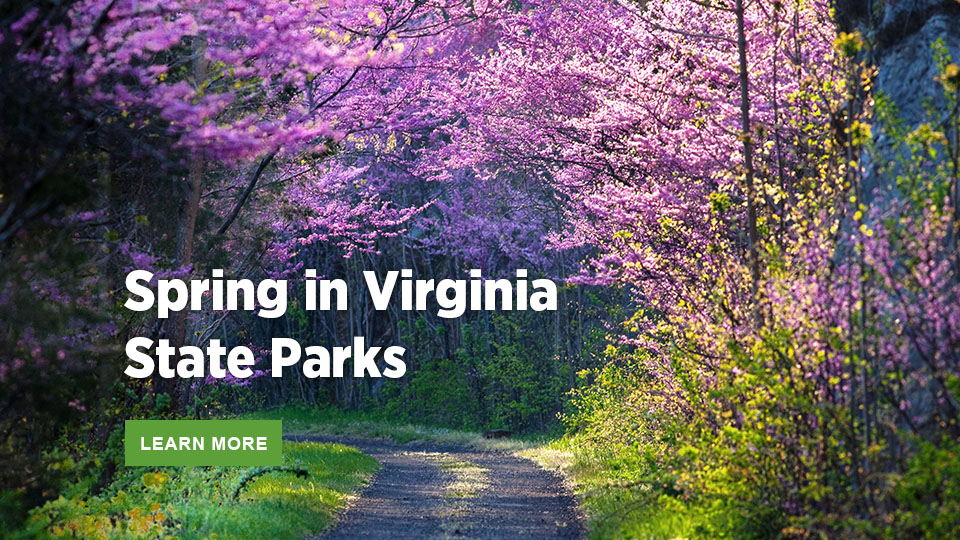 弗吉尼亞州立公園的春天 弗吉尼亞州立公園的春天