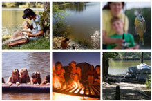 綠色牧場休閒區的閃爍照片